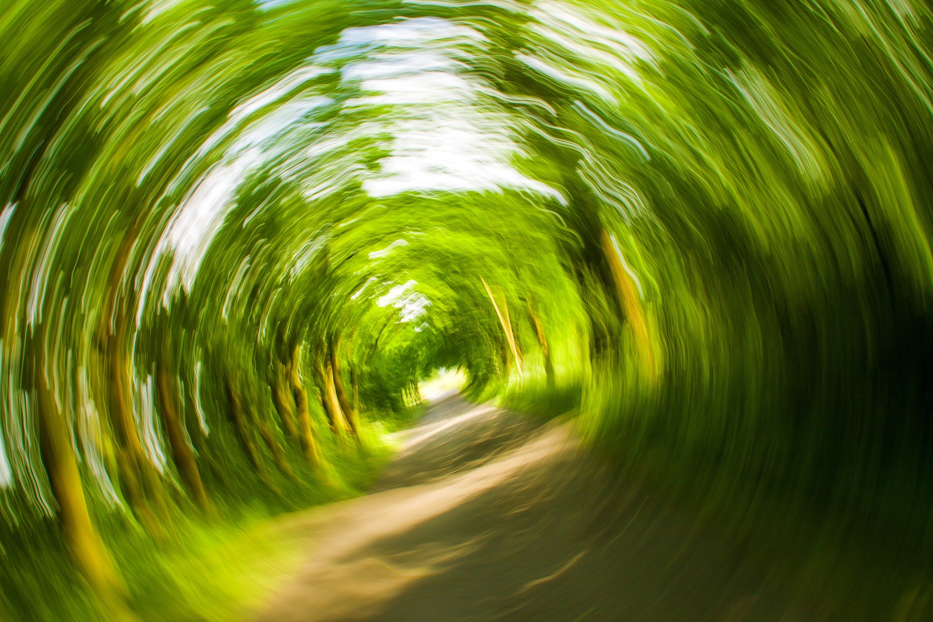 What is Vertigo?